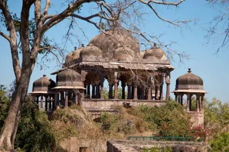 Inde : Circuit Sur la route du Taj Mahal au Tigres de Ranthambore