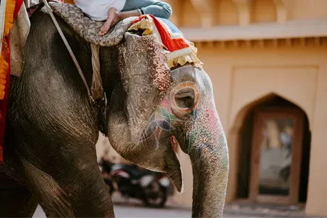 Inde : Circuit Sur la route du Taj Mahal à Benares