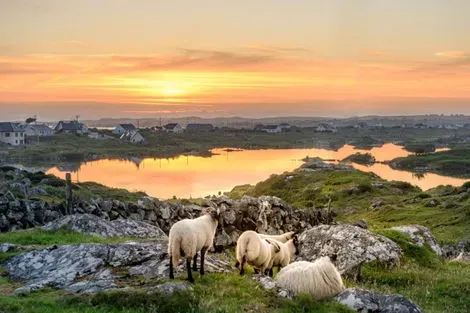 Irlande : Circuit Balade Irlandaise en petit groupe