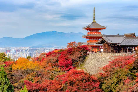 Japon : Circuit Du Japon impérial aux beautés de la nature