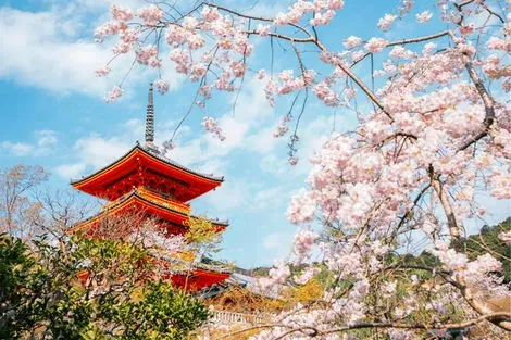 Japon : Circuit Sur les pas des Samouraïs et extension Nikko