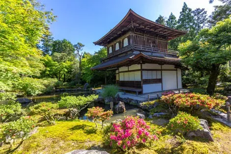 Japon : Circuit Voyage en liberté