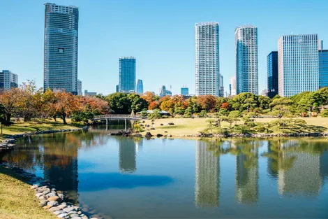 Japon : Circuit Au Coeur du Japon, Authentique et Insolite, Nikko et Tokyo en Liberté