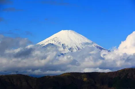 Japon : Circuit Toriis et Traditions Nippones