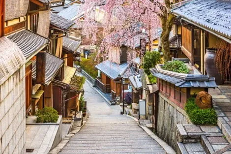 Japon : Circuit en Liberté - Les joyaux du Japon 12 nuits