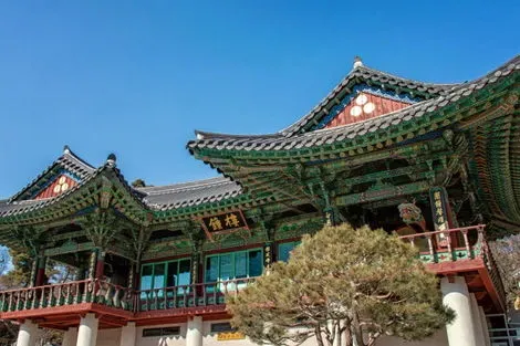 Japon : Circuit Japon-Corée