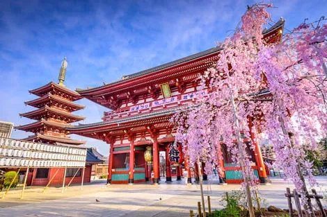 Japon : Circuit Le Japon incontournable en liberté (Hiver 25/26)