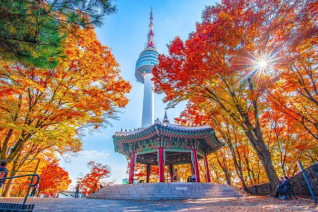 vol+hotel Circuit Privé Combiné Japon - Corée en catégorie standard Non référencé Japon Tokyo