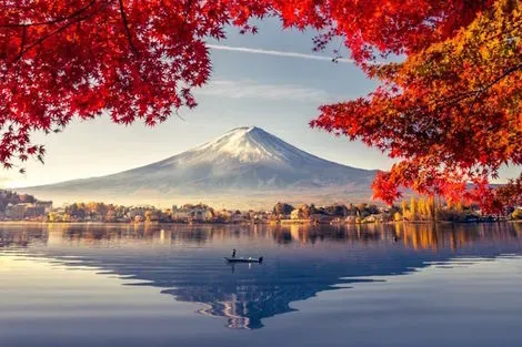 Japon : Circuit Au coeur des Mégalopoles du Soleil Levant