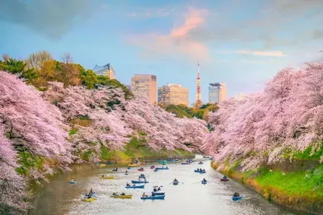 Japon : Circuit City Break Tokyo, activités incluses en
