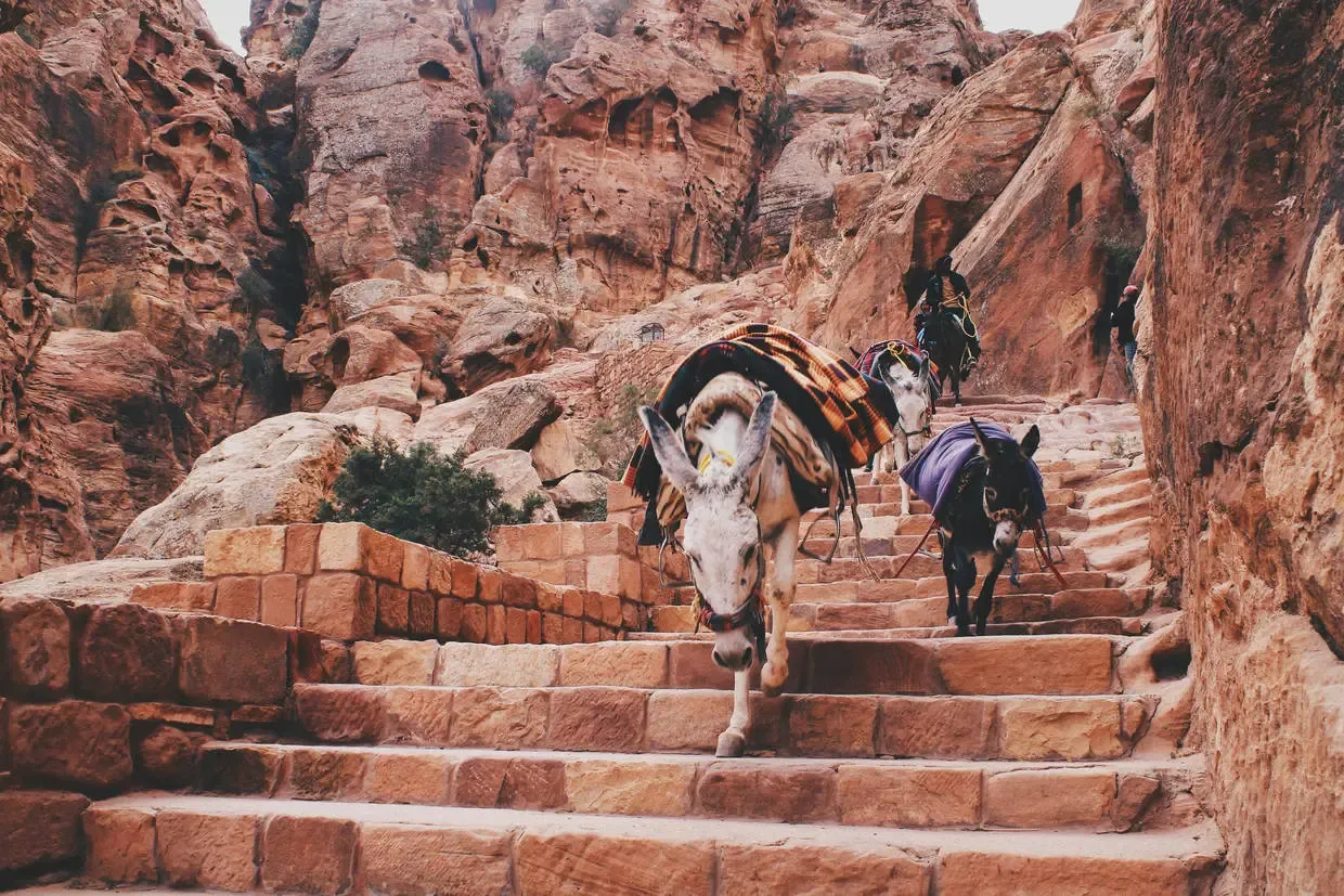 Jordanie : Circuit Sur les traces des Nabatéens : d'Amman aux sables du Wadi Rum