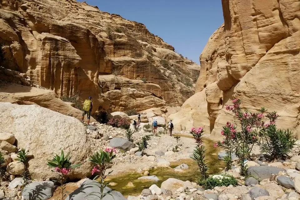 Jordanie : Circuit Au fil des Wadis et des sables éternels de Jordanie