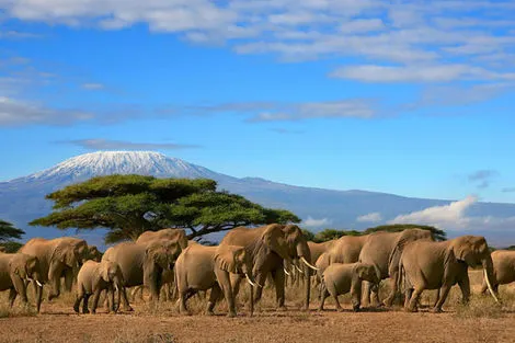 Kenya : Circuit Combiné Kenya et Tanzanie, Du Joyau de l'Afrique aux Terres du Kilimandjaro - Version 2025