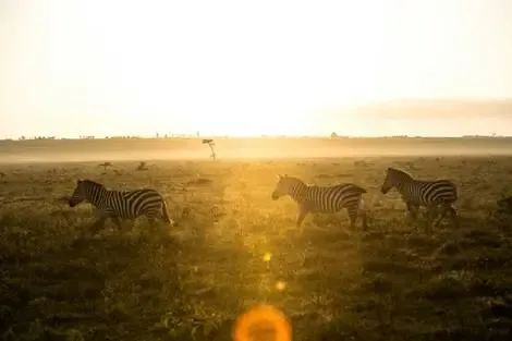 Kenya : Circuit L'âme sauvage : voyage entre Kenya et Tanzanie