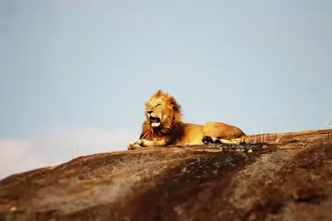 Kenya : Circuit Lumières d'Afrique Safari au coeur du Kenya