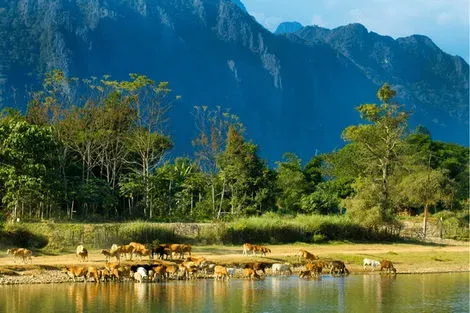 Laos : Circuit Odyssée Laotienne