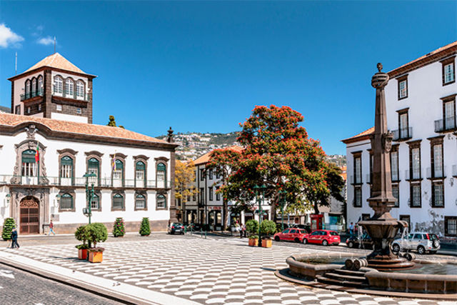 Madère : Circuit Madère Authentique : entre falaises et levadas