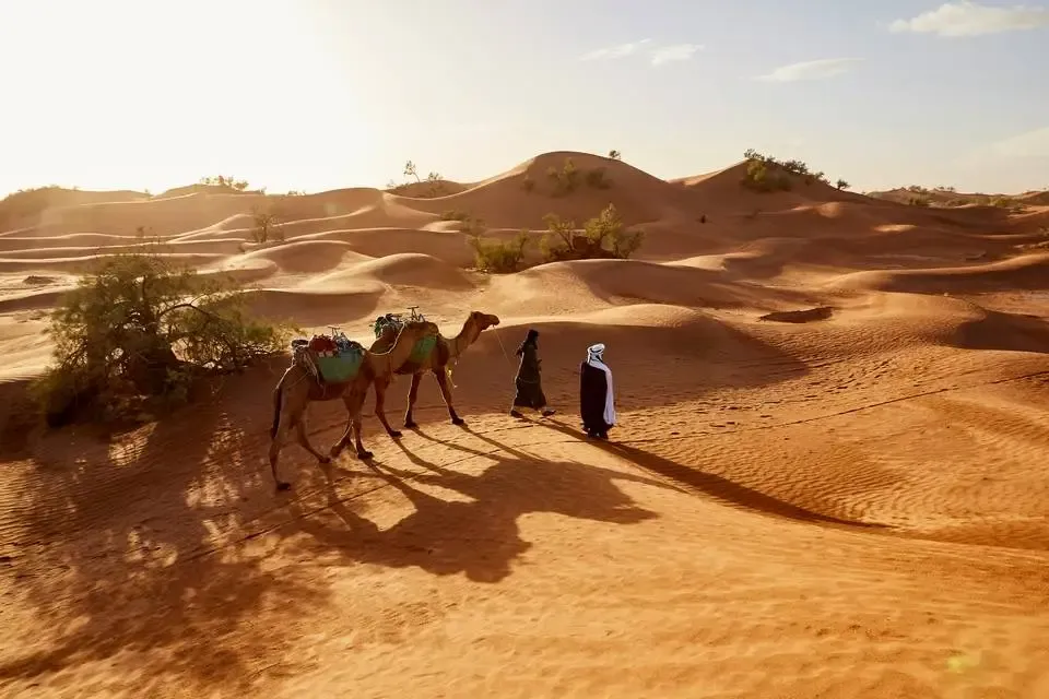 Maroc : Circuit Le souffle des dunes : voyage à pied au cœur du grand sud