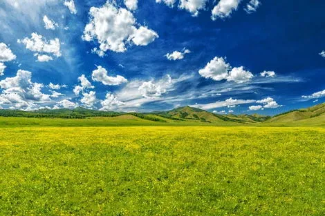 Mongolie : Circuit Vis ma Vie de Nomade