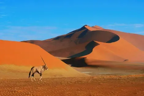 Namibie : Circuit Couleurs de Namibie - Limité à 8 pers. par véhicule - 2026