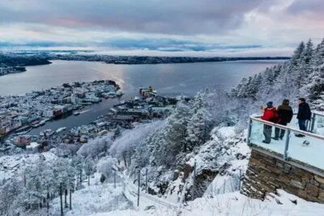 Norvege : Circuit Fjords en hiver en premium