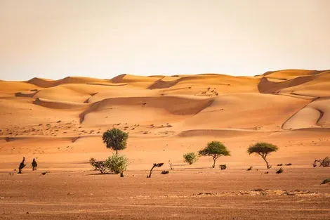 Oman : Circuit A la découverte d'Oman