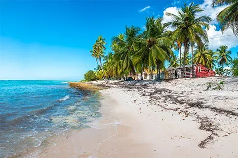 République Dominicaine : Club Circuit étoile base Framissima Catalonia Bavaro