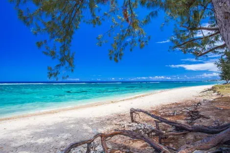 Reunion : Circuit Intense Réunion, logement au Nautile Beach