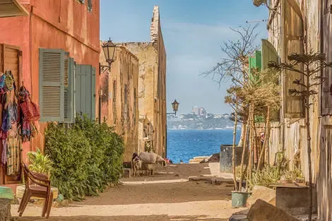 Senegal : Circuit Au rythme de l'Afrique de l'Ouest : le Sénégal, terre de contrastes