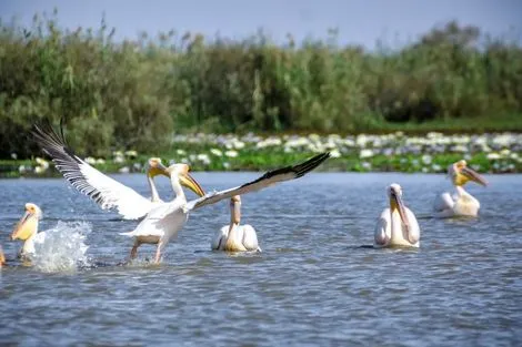 Senegal : Circuit Beautés du Sénégal au coeur des Chefferies en privatif