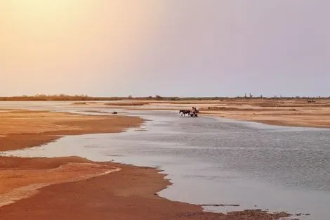 Senegal : Circuit Beautés du Sénégal et balade avec les lions de Fathala en privatif