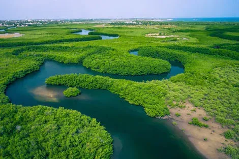 Senegal : Circuit Sud Sénégal, entre Gambie et Casamance
