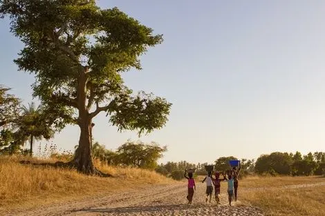 Senegal : Circuit Beautés et sensations en pays Bassari