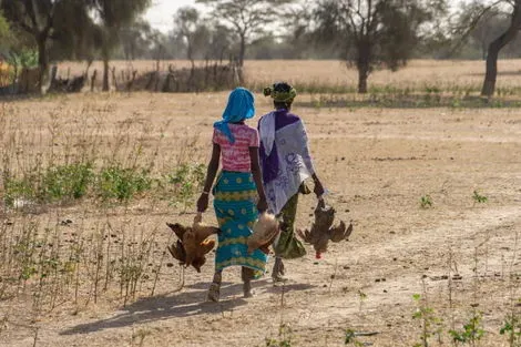 Senegal : Circuit Beautés et sensations en pays Bassari en privatif