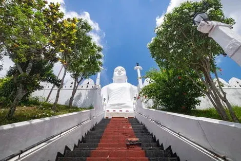 Sri Lanka : Circuit Trésors de Ceylan