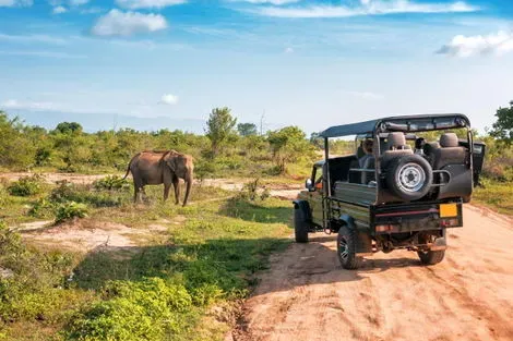 Sri Lanka : Circuit Aventure Sri Lankaise et Plage de Rêve - Privatif