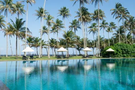 Sri Lanka : Circuit Grand tour du Sri Lanka + ext. Naya Collection Blue Waters 5* - 12N - Limité à 16 pers.