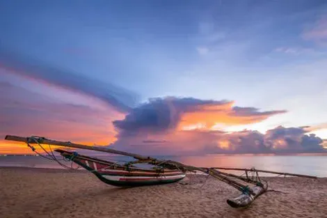 Sri Lanka : Circuit Au Sri Lanka