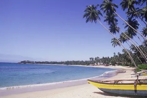 Sri Lanka : Circuit Kappa Découverte Au Sri Lanka 4* & extension Meeru Island Resort and Spa