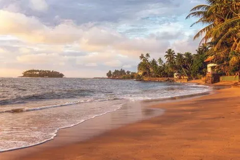 Sri Lanka : Circuit Le Sri Lanka, du Rocher du Lion à l'océan Indien (petit groupe 6-12 pers.)