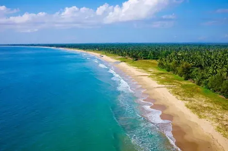 Sri Lanka : Circuit Secrets du Sri Lanka en petit groupe : culture, plages sauvages et safari