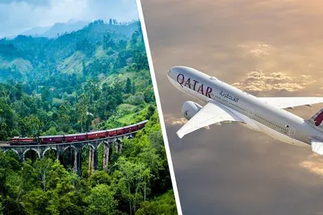 Sri Lanka : Combiné circuit et hôtel Royaume de Ceylan (collectif) & plage au Framissima Turyaa (vol Qatar Airways)