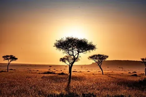 Tanzanie : Circuit Mon Safari Privé Aventure Tanzanienne