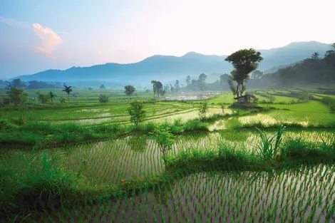 Thailande : Circuit Grand Tour de Thaïlande et Golfe du Siam 5* 