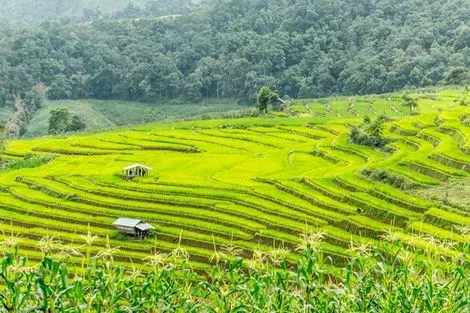 Thailande : Circuit Grand Tour de Thaïlande et Hua Hin