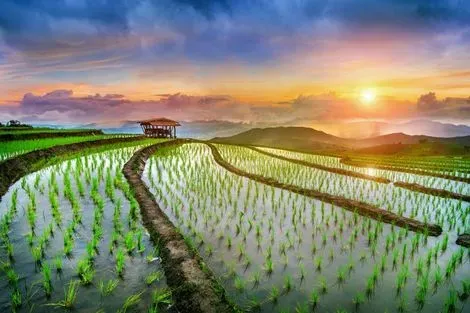 Thailande : Circuit Richesses et traditions de Thaïlande + extension découverte du sud