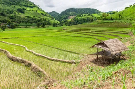 Thailande : Circuit Richesses et traditions de Thaïlande