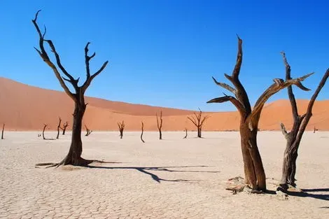 Zimbabwe : Circuit Des Chutes Victoria au Désert du Namib