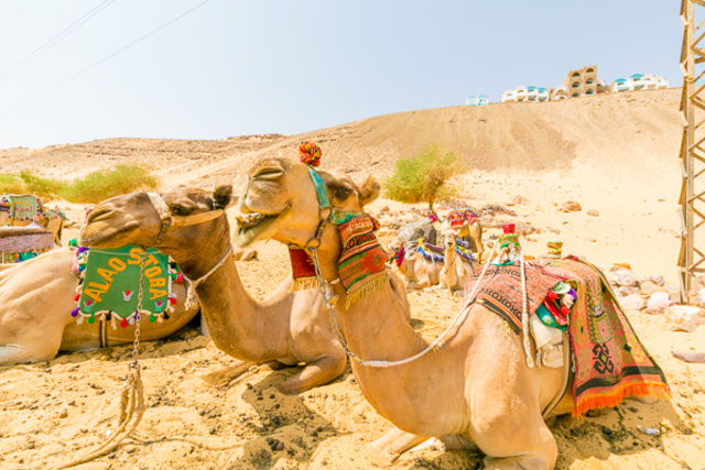 Egypte : Combiné croisière et hôtel Framissima Gloire des pharaons à bord du Framissima Monica et extension au Framissima Swiss Inn Resort (14 nuits)