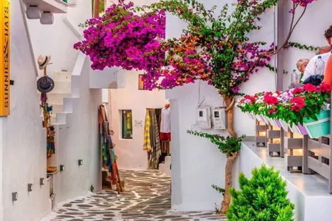 Grece : Combiné circuit et hôtel Paros - Santorin - De Athènes A Athènes